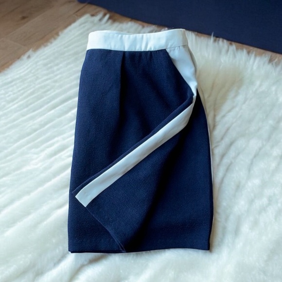 Lumiere Dresses & Skirts - ⭐️Blue & White Skirt. Zipper in back. Medium. Cute. Not very stretchy.